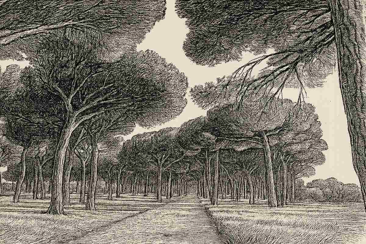 A Brief Meaning in an Ordinary Moment