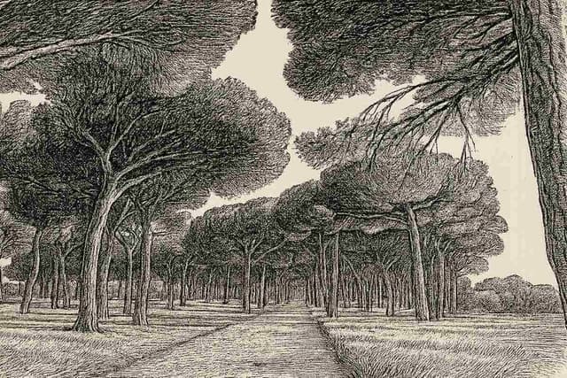 A Brief Meaning in an Ordinary Moment